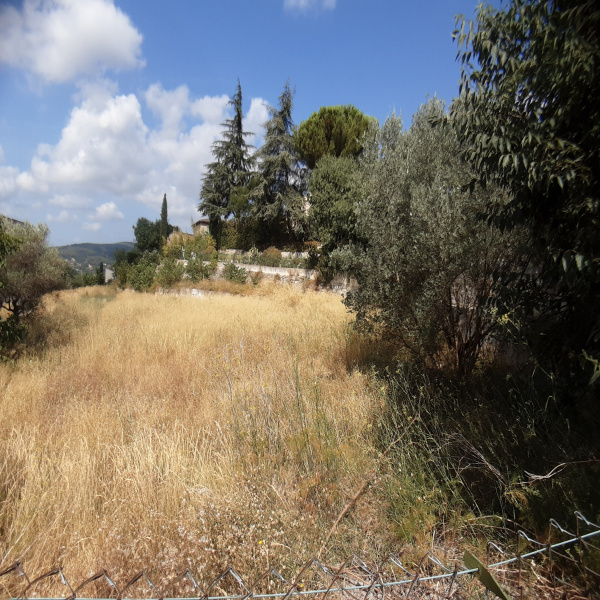 Offres de vente Villa Draguignan 83300