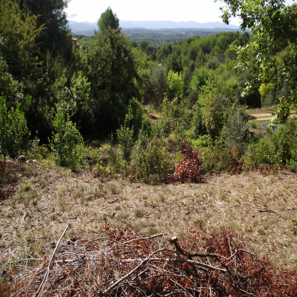 Offres de vente Terrain Draguignan 83300