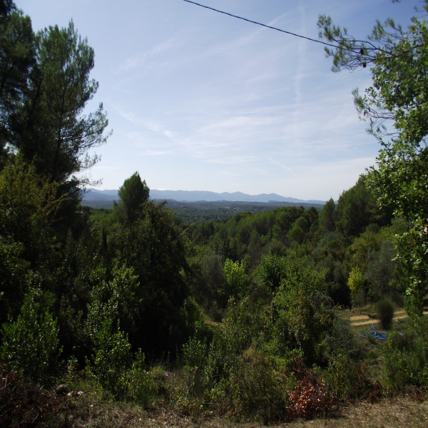 Offres de vente Terrain Draguignan 83300