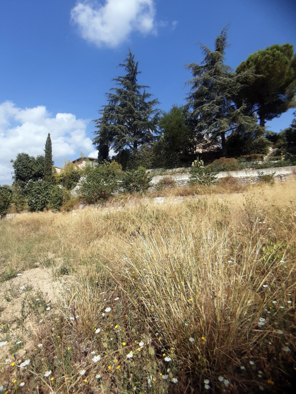 Offres de vente Villa Draguignan 83300
